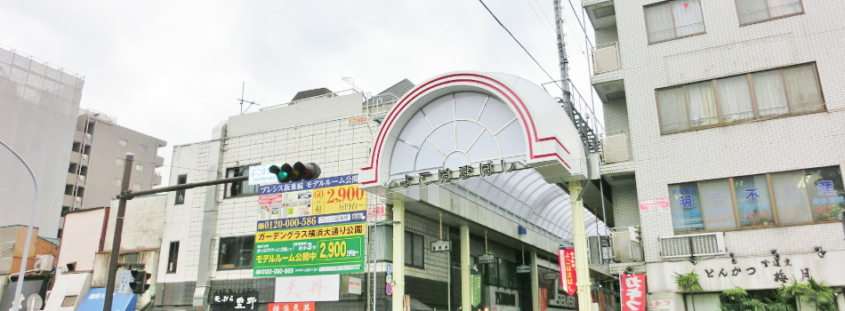 Css Template Preview